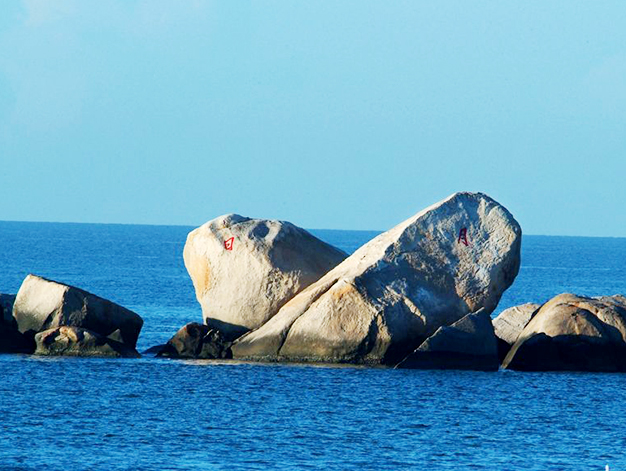 1485078856574086.jpg 120.jpg